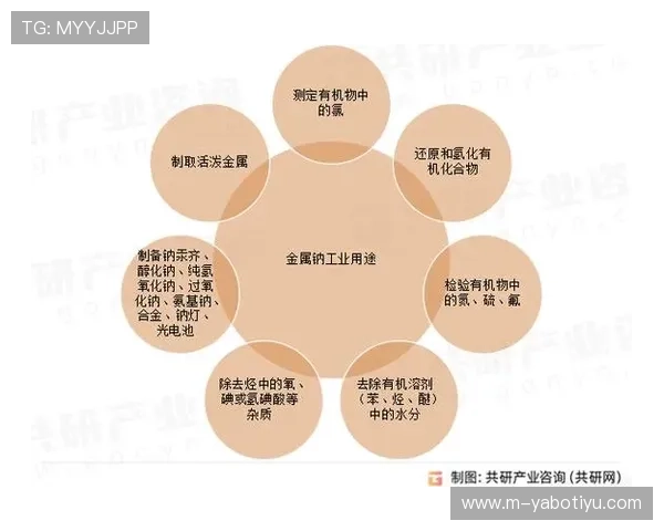 亚博综合未来发展趋势与行业竞争分析